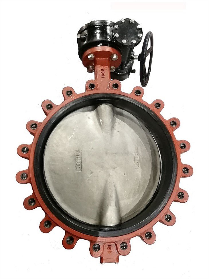 VITON seated butterfly valve3